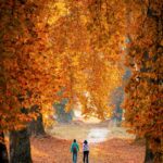 Woman in Red Jacket Walking on Pathway Between Trees