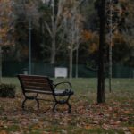 black metal bench near brown trees during daytime