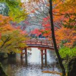 Arched bridge over calm lake in Japanese park