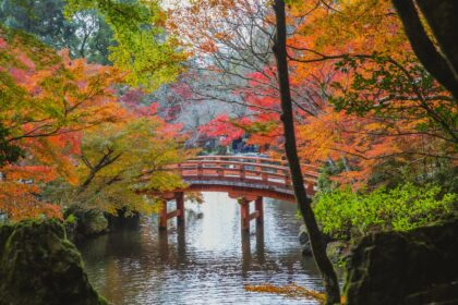 Arched bridge over calm lake in Japanese park