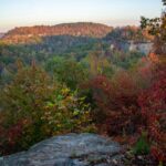 green and brown trees on mountain during daytime