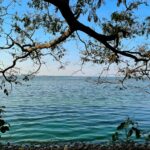 body of water under blue sky during daytime